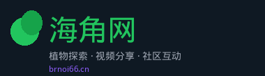 海角网